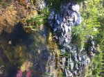 Foto 6.JPG