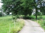 Allee 010714 02.JPG