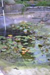 DSC_5545.JPG DSC_5545.JPG