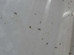 P1020977small.jpg