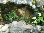 DSC_0011.JPG DSC_0011.JPG