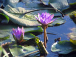 K640_IMG_0543.JPG K640_IMG_0543.JPG