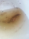 20140801_195739_3.jpg 20140801_195739_3.jpg