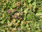 DSCN0015.jpg DSCN0015.jpg