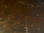 Teich2014_024.jpg Teich2014_024.jpg