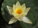 K800_DSCF4731.JPG