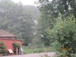 Hof 9.24 IMG_0121.JPG