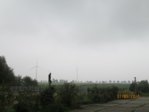 Hof 10.00 IMG_0122.JPG
