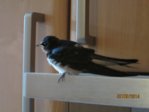 Sunny IMG_0123.JPG