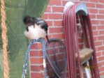 Sunny IMG_0129.JPG