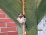 Sunny IMG_0142.JPG