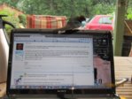 Sunny IMG_0152.JPG