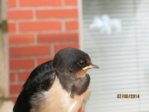 Sunny IMG_0177.JPG