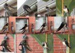Sunny Photomontage Pflege1.jpg