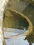 Teich 3.jpg Teich 3.jpg