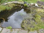 Teich 4.jpg Teich 4.jpg
