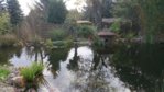 DSC_0264.JPG