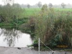 Tümpel IMG_0833.JPG