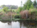 Tümpel IMG_0834.JPG