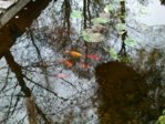 DSC_0021.JPG