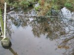 Tümpel IMG_1041.JPG