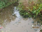 Tümpel IMG_1042.JPG