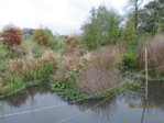 Tümpel IMG_1046.JPG