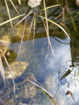 20141108_105105.jpg