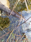 20141108_105054.jpg