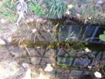 20141108_105036.jpg