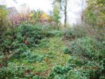 Winterdienst IMG_1252.JPG