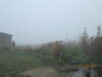 Tümpel IMG_1303.JPG