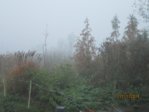 Tümpel IMG_1304.JPG
