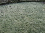 IMG_8243.JPG