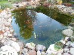 DSCN0749.JPG