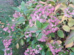 DSCN0753.JPG