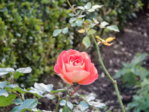 DSCN0773.JPG