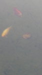 20141123_133954.jpg