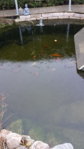 20141130_095220.jpg