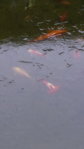 20141130_095212.jpg