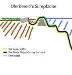 Planung-Querschnitt-Sumpfzone.jpg