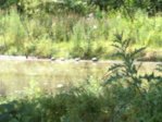 IMG_0405.JPG