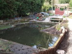DSCF1027.JPG