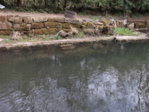DSCF2070.JPG DSCF2070.JPG