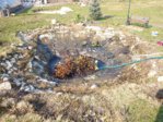 Teich2015_1_007.jpg Teich2015_1_007.jpg