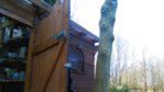IMG_20150403_104644.jpg