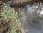 DSCF2176.JPG
