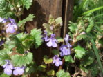 DSCF2254.JPG DSCF2254.JPG