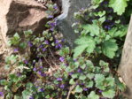DSCF2256.JPG DSCF2256.JPG