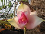 IMG_2362.jpg
